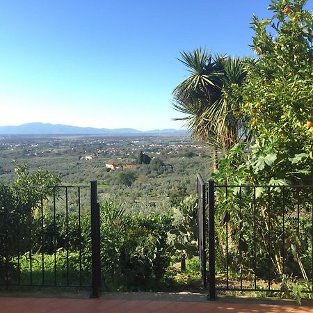 Agriturismo Podere Rondinaio Lamporecchio Eksteriør bilde