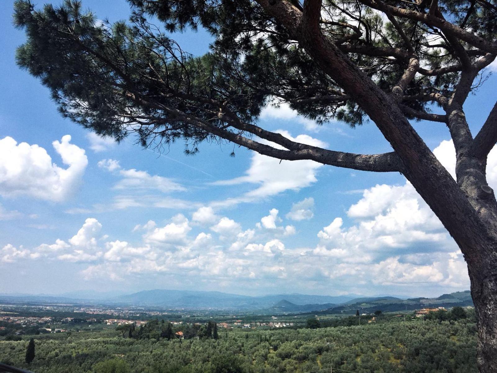 Agriturismo Podere Rondinaio Lamporecchio Eksteriør bilde
