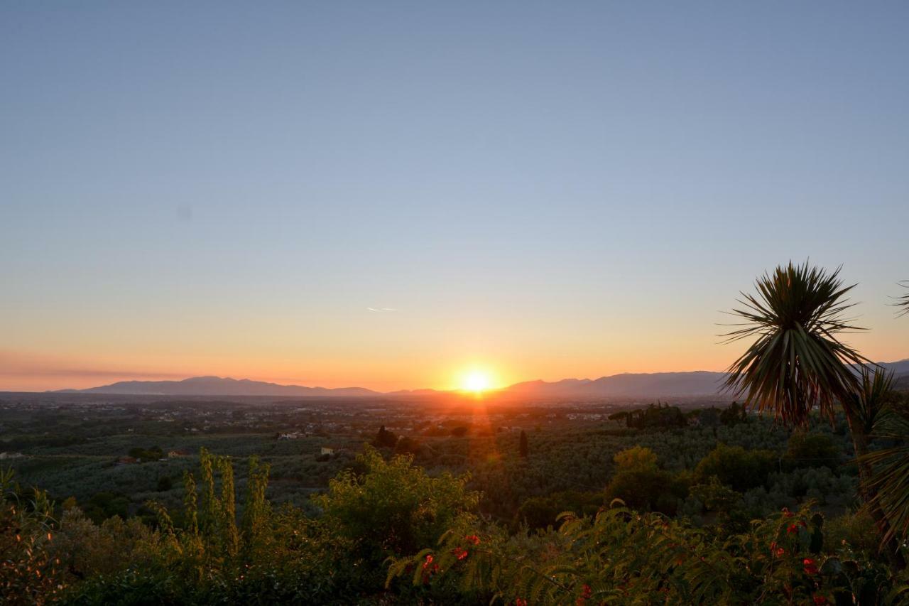 Agriturismo Podere Rondinaio Lamporecchio Eksteriør bilde