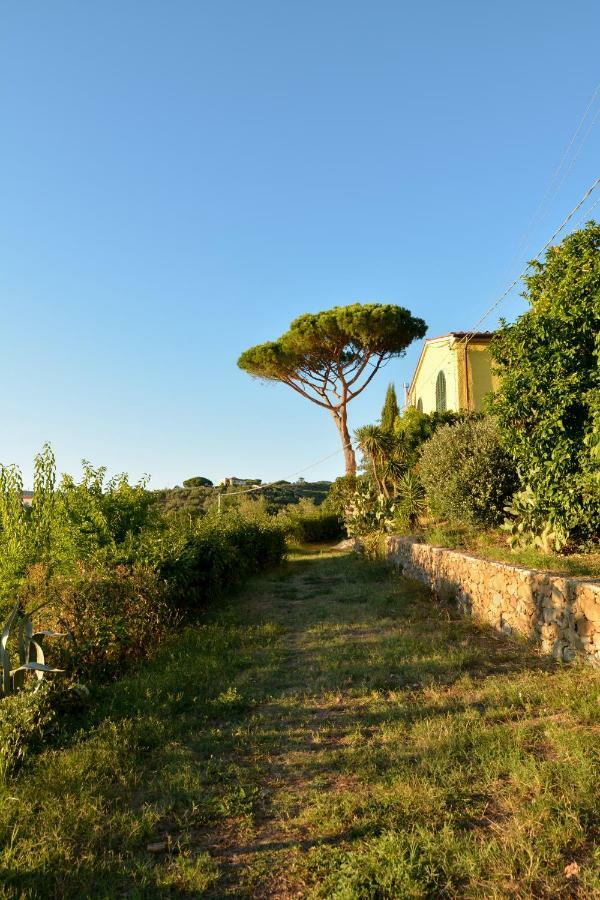 Agriturismo Podere Rondinaio Lamporecchio Eksteriør bilde