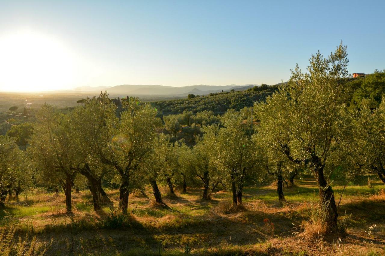 Agriturismo Podere Rondinaio Lamporecchio Eksteriør bilde